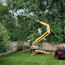 Best Seasonal Cleanup (Spring/Fall)  in Fords Prairie, WA