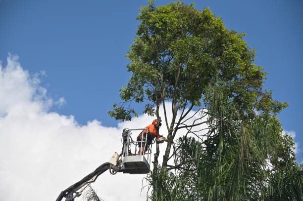 Best Lawn Maintenance Plans  in Fords Prairie, WA